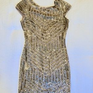 Dress the Population Sequin Dress